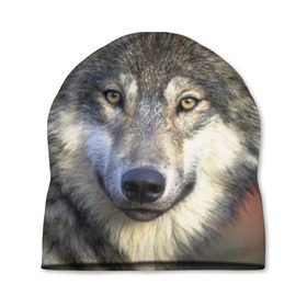 Шапка 3D с принтом Волк в Кировске, 100% полиэстер | универсальный размер, печать по всей поверхности изделия | волк | волки | волчата | волчонок | хищник