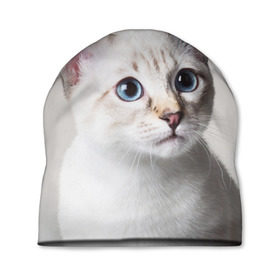 Шапка 3D с принтом Кошечка в Кировске, 100% полиэстер | универсальный размер, печать по всей поверхности изделия | кот | котики | котята | кошка | рыженький | рыжий | серенький | черненький