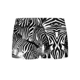 Мужские трусы 3D с принтом Зебра в Кировске, 50% хлопок, 50% полиэстер | классическая посадка, на поясе мягкая тканевая резинка | дикое | животное | зебра | камуфляж | лошадь | маскировка | полосы | текстура | фон | черно белые