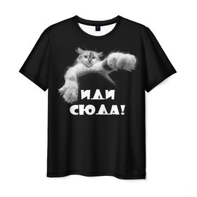 Мужская футболка 3D с принтом Иди сюда! в Кировске, 100% полиэфир | прямой крой, круглый вырез горловины, длина до линии бедер | киска | кот | котёнок | кошка | лапа | прикольные картинки
