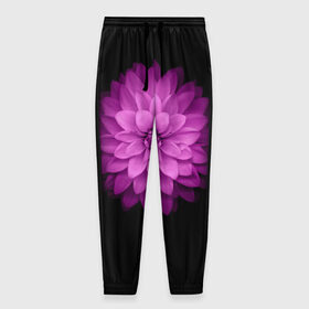Мужские брюки 3D с принтом Violet в Кировске, 100% полиэстер | манжеты по низу, эластичный пояс регулируется шнурком, по бокам два кармана без застежек, внутренняя часть кармана из мелкой сетки | лепестки | прикольные картинки | фиолетовый | цветочки | цветы