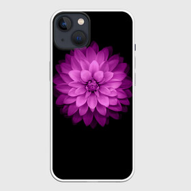 Чехол для iPhone 13 с принтом Violet в Кировске,  |  | лепестки | прикольные картинки | фиолетовый | цветочки | цветы