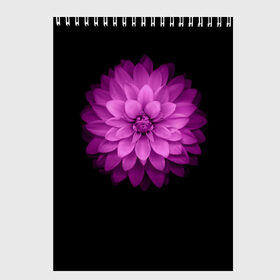 Скетчбук с принтом Violet в Кировске, 100% бумага
 | 48 листов, плотность листов — 100 г/м2, плотность картонной обложки — 250 г/м2. Листы скреплены сверху удобной пружинной спиралью | лепестки | прикольные картинки | фиолетовый | цветочки | цветы