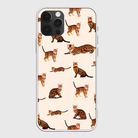 Чехол для iPhone 12 Pro Max с принтом Котейки дольче 2 в Кировске, Силикон |  | dg | dolce | gabbana | габбана | дольче | киска | котенок | котик | кошечка | кошка