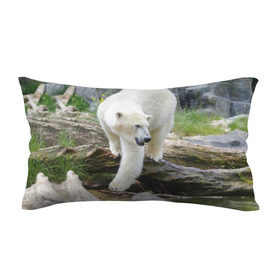 Подушка 3D антистресс с принтом Белый медведь в Кировске, наволочка — 100% полиэстер, наполнитель — вспененный полистирол | состоит из подушки и наволочки на молнии | арктика