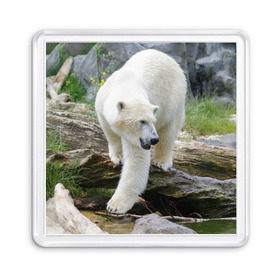 Магнит 55*55 с принтом Белый медведь в Кировске, Пластик | Размер: 65*65 мм; Размер печати: 55*55 мм | Тематика изображения на принте: арктика