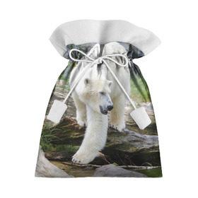 Подарочный 3D мешок с принтом Белый медведь в Кировске, 100% полиэстер | Размер: 29*39 см | арктика