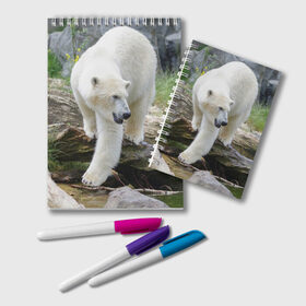 Блокнот с принтом Белый медведь в Кировске, 100% бумага | 48 листов, плотность листов — 60 г/м2, плотность картонной обложки — 250 г/м2. Листы скреплены удобной пружинной спиралью. Цвет линий — светло-серый
 | Тематика изображения на принте: арктика