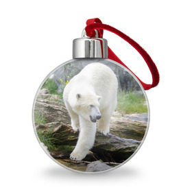 Ёлочный шар с принтом Белый медведь в Кировске, Пластик | Диаметр: 77 мм | Тематика изображения на принте: арктика