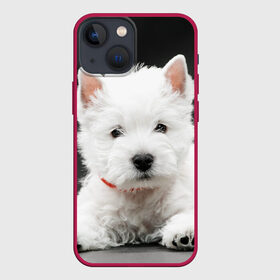 Чехол для iPhone 13 mini с принтом Вест хайленд уайт терьер в Кировске,  |  | вест хайленд уайт терьер | животное | порода | собака