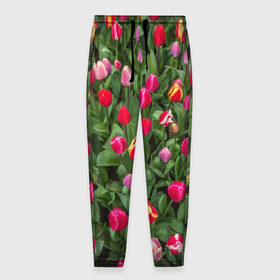 Мужские брюки 3D с принтом Тюльпанчики в Кировске, 100% полиэстер | манжеты по низу, эластичный пояс регулируется шнурком, по бокам два кармана без застежек, внутренняя часть кармана из мелкой сетки | зеленый | поле | природа | растения | тюльпаны | цветной | цветы