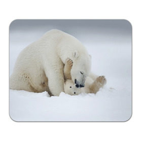 Коврик прямоугольный с принтом Идиллия в Кировске, натуральный каучук | размер 230 х 185 мм; запечатка лицевой стороны | айсберг | арктика | животные | лёд | медведи | природа | север | снег