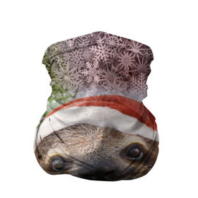 Бандана-труба 3D с принтом Рождественский ленивец в Кировске, 100% полиэстер, ткань с особыми свойствами — Activecool | плотность 150‒180 г/м2; хорошо тянется, но сохраняет форму | джунгли | животное | ленивый | лень | новый год | рождество | снег | снежинки | тропики | улыбка | шапка