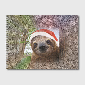 Альбом для рисования с принтом Рождественский ленивец в Кировске, 100% бумага
 | матовая бумага, плотность 200 мг. | джунгли | животное | ленивый | лень | новый год | рождество | снег | снежинки | тропики | улыбка | шапка