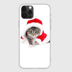 Чехол для iPhone 12 Pro Max с принтом Новогодняя Киса в Кировске, Силикон |  | cat | christmas | new year | winter | дед мороз | зима | кисы | кошки | новый год | рождество