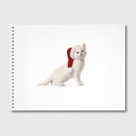 Альбом для рисования с принтом Киса в Шапочке в Кировске, 100% бумага
 | матовая бумага, плотность 200 мг. | cat | christmas | new year | winter | дед мороз | зима | кисы | кошки | новый год | рождество