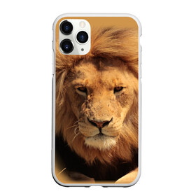 Чехол для iPhone 11 Pro матовый с принтом Лев в Кировске, Силикон |  | животные | кошка | лев | тигр | хищник