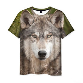 Мужская футболка 3D с принтом Волк в Кировске, 100% полиэфир | прямой крой, круглый вырез горловины, длина до линии бедер | animal | eyes | forest | predator | wild | wolf | взгляд | волк | дикий | животное | зверь | лес | хищник