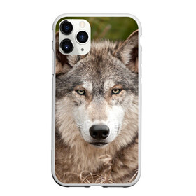 Чехол для iPhone 11 Pro матовый с принтом Волк в Кировске, Силикон |  | animal | eyes | forest | predator | wild | wolf | взгляд | волк | дикий | животное | зверь | лес | хищник