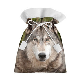 Подарочный 3D мешок с принтом Волк в Кировске, 100% полиэстер | Размер: 29*39 см | animal | eyes | forest | predator | wild | wolf | взгляд | волк | дикий | животное | зверь | лес | хищник