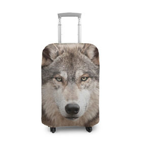 Чехол для чемодана 3D с принтом Волк в Кировске, 86% полиэфир, 14% спандекс | двустороннее нанесение принта, прорези для ручек и колес | animal | eyes | forest | predator | wild | wolf | взгляд | волк | дикий | животное | зверь | лес | хищник