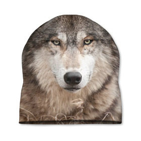 Шапка 3D с принтом Волк в Кировске, 100% полиэстер | универсальный размер, печать по всей поверхности изделия | animal | eyes | forest | predator | wild | wolf | взгляд | волк | дикий | животное | зверь | лес | хищник