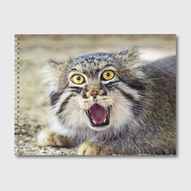Альбом для рисования с принтом Дикий кот в Кировске, 100% бумага
 | матовая бумага, плотность 200 мг. | animal | cat | eyes | jaws | predator | teeth | wild | взгляд | дикий | животное | клыки | кот | пасть | хищник