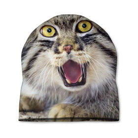 Шапка 3D с принтом Дикий кот в Кировске, 100% полиэстер | универсальный размер, печать по всей поверхности изделия | animal | cat | eyes | jaws | predator | teeth | wild | взгляд | дикий | животное | клыки | кот | пасть | хищник