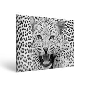 Холст прямоугольный с принтом Леопард в Кировске, 100% ПВХ |  | animal | eyes | jaws | leopard | malicious | predator | spotted | teeth | wild | взгляд | дикий | животное | злой | клыки | леопард | оскал | пасть | пятнистый | хищник