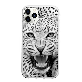 Чехол для iPhone 11 Pro матовый с принтом Леопард в Кировске, Силикон |  | animal | eyes | jaws | leopard | malicious | predator | spotted | teeth | wild | взгляд | дикий | животное | злой | клыки | леопард | оскал | пасть | пятнистый | хищник