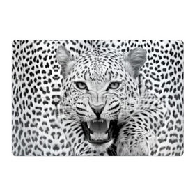 Магнитный плакат 3Х2 с принтом Леопард в Кировске, Полимерный материал с магнитным слоем | 6 деталей размером 9*9 см | Тематика изображения на принте: animal | eyes | jaws | leopard | malicious | predator | spotted | teeth | wild | взгляд | дикий | животное | злой | клыки | леопард | оскал | пасть | пятнистый | хищник