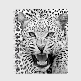 Тетрадь с принтом Леопард в Кировске, 100% бумага | 48 листов, плотность листов — 60 г/м2, плотность картонной обложки — 250 г/м2. Листы скреплены сбоку удобной пружинной спиралью. Уголки страниц и обложки скругленные. Цвет линий — светло-серый
 | animal | eyes | jaws | leopard | malicious | predator | spotted | teeth | wild | взгляд | дикий | животное | злой | клыки | леопард | оскал | пасть | пятнистый | хищник
