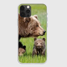 Чехол для iPhone 12 Pro Max с принтом Медведи в Кировске, Силикон |  | animals | bears | children | family | green | meadow | mother | predators | дети | животные | зеленая | мама | медведи | поляна | семья | хищники