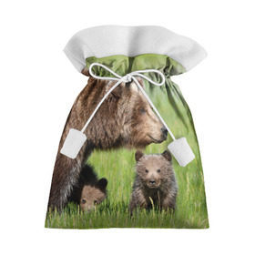 Подарочный 3D мешок с принтом Медведи в Кировске, 100% полиэстер | Размер: 29*39 см | animals | bears | children | family | green | meadow | mother | predators | дети | животные | зеленая | мама | медведи | поляна | семья | хищники