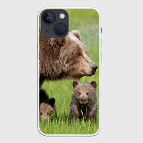 Чехол для iPhone 13 mini с принтом Медведи в Кировске,  |  | animals | bears | children | family | green | meadow | mother | predators | дети | животные | зеленая | мама | медведи | поляна | семья | хищники