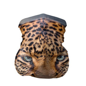 Бандана-труба 3D с принтом Леопард в Кировске, 100% полиэстер, ткань с особыми свойствами — Activecool | плотность 150‒180 г/м2; хорошо тянется, но сохраняет форму | animal | leopard | look | predator | spotted | wild | взгляд | дикий | животное | леопард | пятнистый | хищник