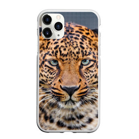 Чехол для iPhone 11 Pro матовый с принтом Леопард в Кировске, Силикон |  | animal | leopard | look | predator | spotted | wild | взгляд | дикий | животное | леопард | пятнистый | хищник