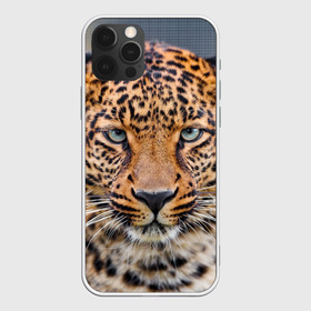 Чехол для iPhone 12 Pro Max с принтом Леопард в Кировске, Силикон |  | animal | leopard | look | predator | spotted | wild | взгляд | дикий | животное | леопард | пятнистый | хищник