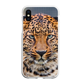 Чехол для iPhone XS Max матовый с принтом Леопард в Кировске, Силикон | Область печати: задняя сторона чехла, без боковых панелей | animal | leopard | look | predator | spotted | wild | взгляд | дикий | животное | леопард | пятнистый | хищник