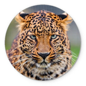Коврик круглый с принтом Леопард в Кировске, резина и полиэстер | круглая форма, изображение наносится на всю лицевую часть | animal | leopard | look | predator | spotted | wild | взгляд | дикий | животное | леопард | пятнистый | хищник