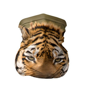 Бандана-труба 3D с принтом Тигр в Кировске, 100% полиэстер, ткань с особыми свойствами — Activecool | плотность 150‒180 г/м2; хорошо тянется, но сохраняет форму | animal | predator | striped | tiger | view | wild | взгляд | дикий | животное | полосатый | тигр | хищник