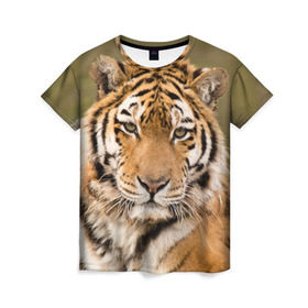 Женская футболка 3D с принтом Тигр в Кировске, 100% полиэфир ( синтетическое хлопкоподобное полотно) | прямой крой, круглый вырез горловины, длина до линии бедер | animal | predator | striped | tiger | view | wild | взгляд | дикий | животное | полосатый | тигр | хищник
