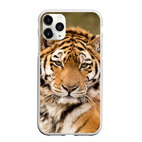 Чехол для iPhone 11 Pro матовый с принтом Тигр в Кировске, Силикон |  | animal | predator | striped | tiger | view | wild | взгляд | дикий | животное | полосатый | тигр | хищник