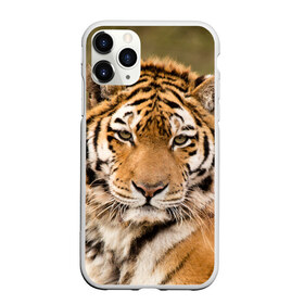 Чехол для iPhone 11 Pro Max матовый с принтом Тигр в Кировске, Силикон |  | animal | predator | striped | tiger | view | wild | взгляд | дикий | животное | полосатый | тигр | хищник