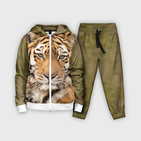 Детский костюм 3D с принтом Тигр в Кировске,  |  | animal | predator | striped | tiger | view | wild | взгляд | дикий | животное | полосатый | тигр | хищник