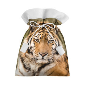 Подарочный 3D мешок с принтом Тигр в Кировске, 100% полиэстер | Размер: 29*39 см | Тематика изображения на принте: animal | predator | striped | tiger | view | wild | взгляд | дикий | животное | полосатый | тигр | хищник