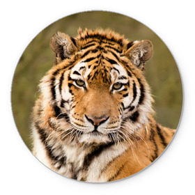 Коврик круглый с принтом Тигр в Кировске, резина и полиэстер | круглая форма, изображение наносится на всю лицевую часть | animal | predator | striped | tiger | view | wild | взгляд | дикий | животное | полосатый | тигр | хищник