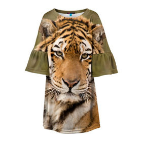 Детское платье 3D с принтом Тигр в Кировске, 100% полиэстер | прямой силуэт, чуть расширенный к низу. Круглая горловина, на рукавах — воланы | animal | predator | striped | tiger | view | wild | взгляд | дикий | животное | полосатый | тигр | хищник
