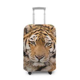 Чехол для чемодана 3D с принтом Тигр в Кировске, 86% полиэфир, 14% спандекс | двустороннее нанесение принта, прорези для ручек и колес | Тематика изображения на принте: animal | predator | striped | tiger | view | wild | взгляд | дикий | животное | полосатый | тигр | хищник