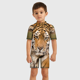 Детский купальный костюм 3D с принтом Тигр в Кировске, Полиэстер 85%, Спандекс 15% | застежка на молнии на спине | animal | predator | striped | tiger | view | wild | взгляд | дикий | животное | полосатый | тигр | хищник